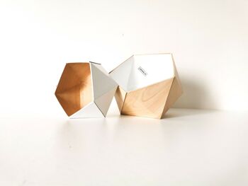 Boîtes origami bois érable / blanc 4
