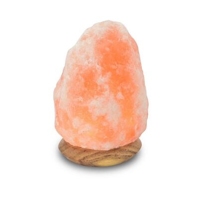 Lámpara de Sal Roca Himalaya Salt Dreams 42024 aprox. USB/LED de 11 cm de alto