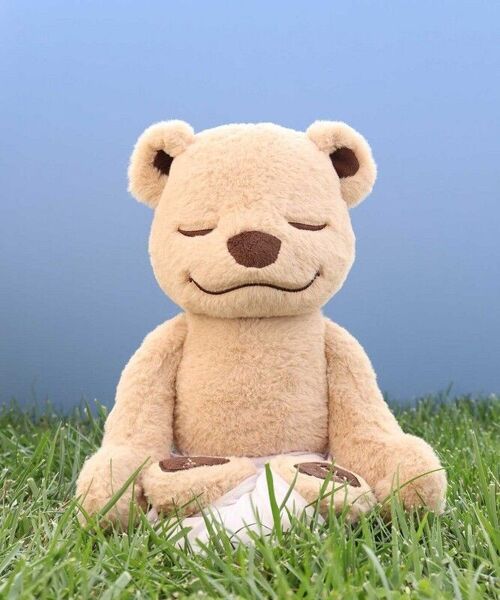 Meddy Teddy Yoga, Meditatie en Mindfulness Beer