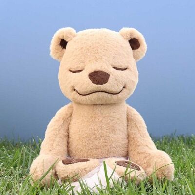 Meddy Teddy Yoga, Meditation und Achtsamkeitsbier