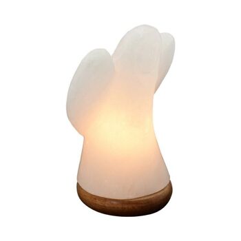 Himalaya Zoutkristal Lampe Engel Met Houten Voet Witte Lampe 19 Cm Hoog