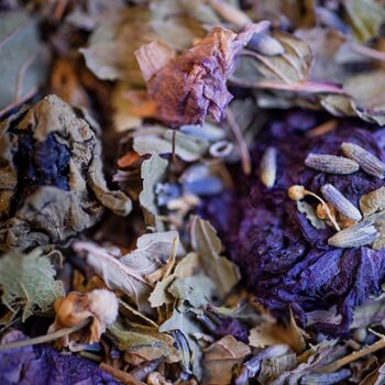 TISANE INFUSETTE A VOS SOUHAITS BIO (x20) - RHUME 2