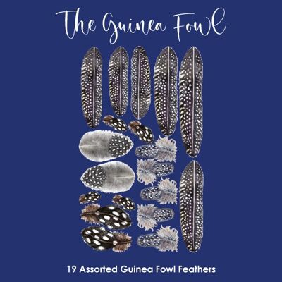 Crystal Candy: The Guinea Fowl Feathers