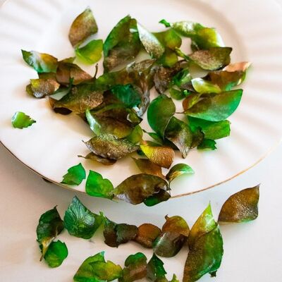 Crystal Candy Edible, Sweet Rose Leaves No.11.   Approx 40 Leaves per Container