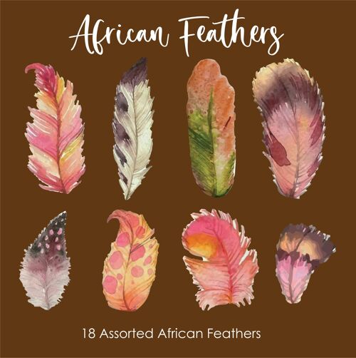 Crystal Candy: Ellen Collection - African Feathers