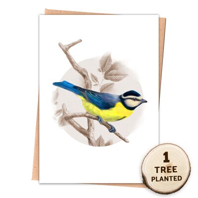 Tarjeta de naturaleza de pájaro británico y regalo de semillas amigables con las abejas. tit azul desnudo