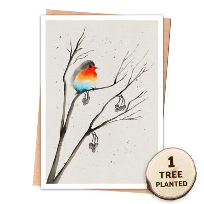 Eco Friendly Robin Bird Card & Seed Gift. Winter Companion Naked