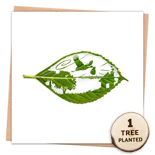 Eco Baby Mum Parent Card & Bee Friendly Gift. New Delivery Naked