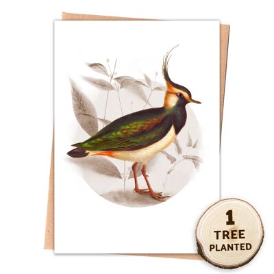 Wildlife Bird Nature Card & umweltfreundliches Samengeschenk. Kiebitz nackt