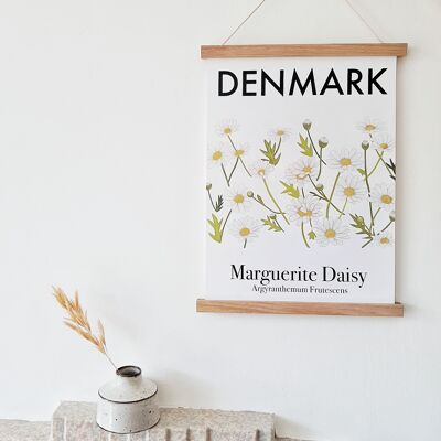 Marguerite Daisy Digital A3 Print