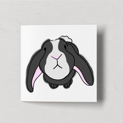 Big Kisses - Bunny Rabbit