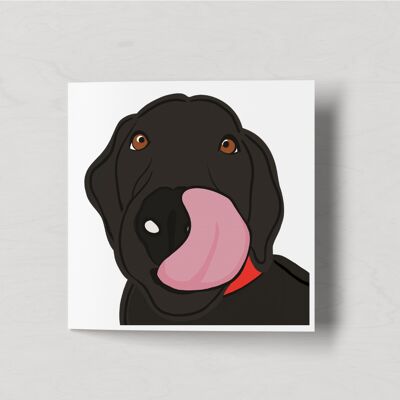 Big Kisses - Black Labrador Retriever