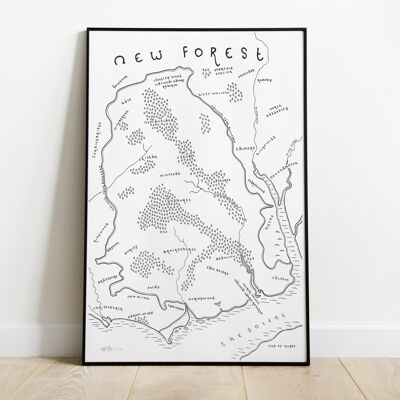 Le parc national de New Forest - A4