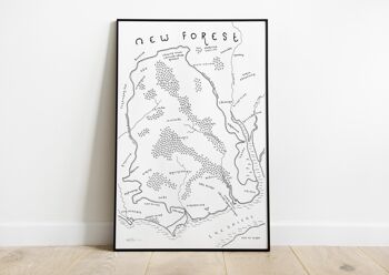 Le parc national de New Forest - A3