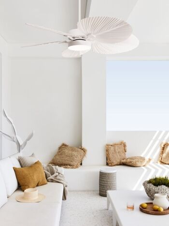 Ventilateur de plafond Lucci air BALI, couleur : blanc, avec télécommande 2