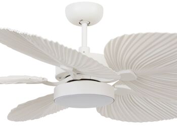 Ventilateur de plafond Lucci air BALI, couleur : blanc, avec télécommande 3
