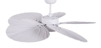 Ventilateur de plafond Lucci air BALI, couleur : blanc, avec télécommande 4