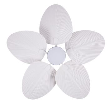 Ventilateur de plafond Lucci air BALI, couleur : blanc, avec télécommande 5