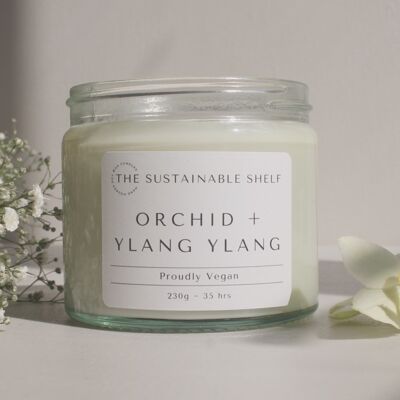 Orchidee + Ylang Ylang