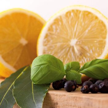 Vinaigre de citron, basilic, laurier et genévrier - 150 ml 3