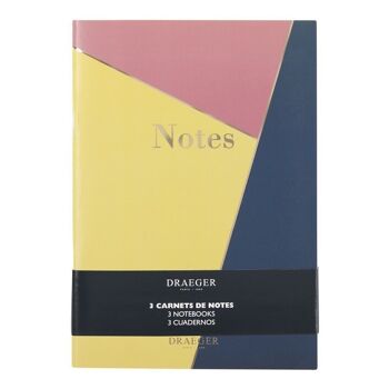 Lot de 3 Carnets de notes lignés, graphiques 1