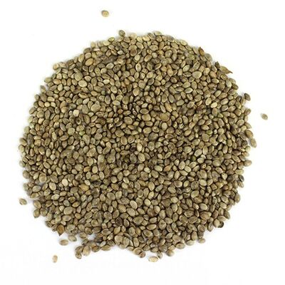 ORGANIC hemp seeds