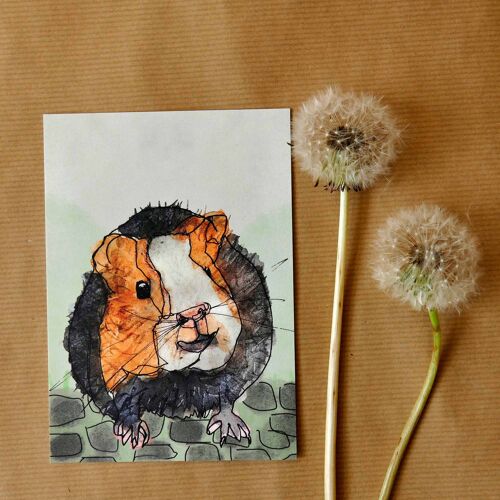 Greeting card Guinea pig