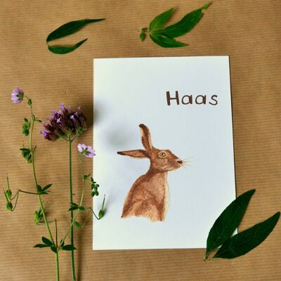 Greeting card Hare