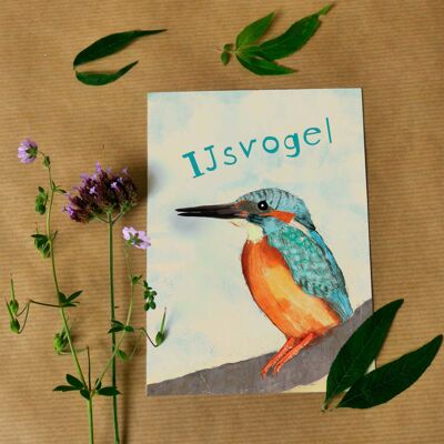 Greeting card Kingfisher