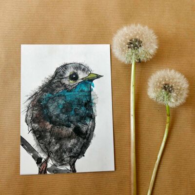 Greeting card Bluethroat