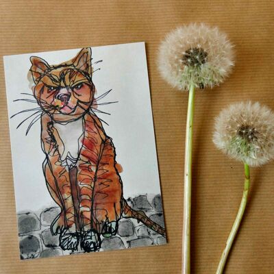 Greeting card Cat