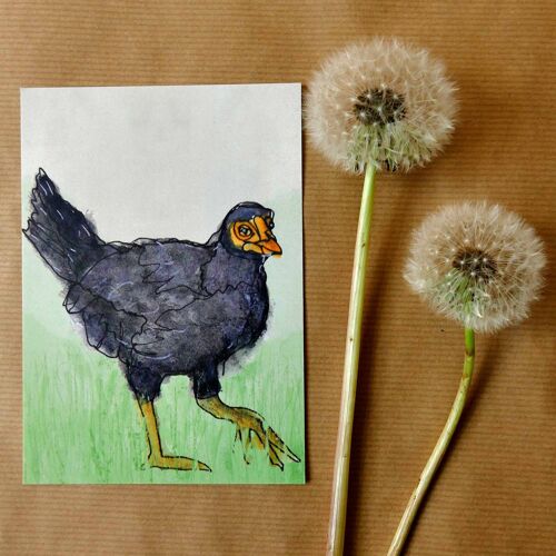 Greeting card Chicken