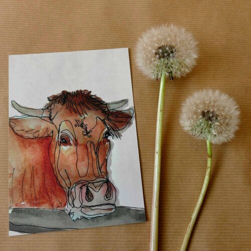 Greeting card Cow