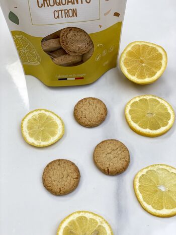 Croquants Citron (x24) - 100% Végétal 2