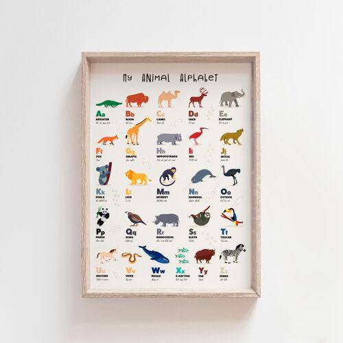 Kids Educational Animal Alphabet Wall Art Print Decor-A4
