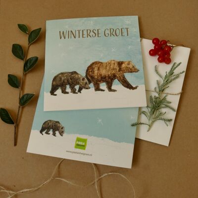 Doppelgrußkarte Wintergruß - Bären