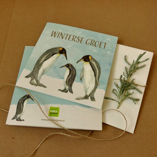 Double greeting card Winter greeting - Penguins