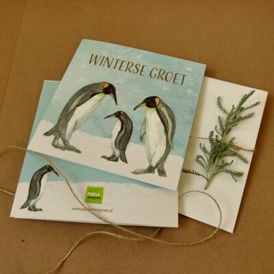 Double greeting card Winter greeting - Penguins