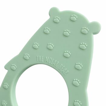 Jouet de dentition pour bébé ours molaire - vert 3