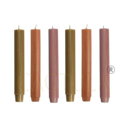 Bougies Cactula 2,6 x 18 cm 6 pcs en 3 couleurs Terre