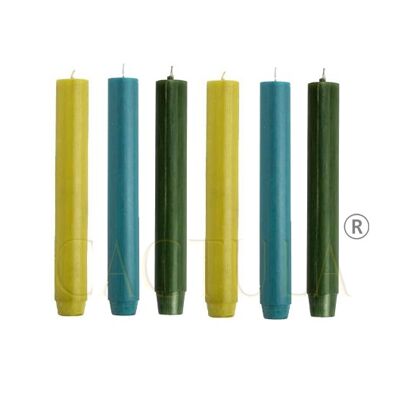 Cactula thick dinnercandles 2.6 x 18 cm 6 pcs in 3 colors Outspoken