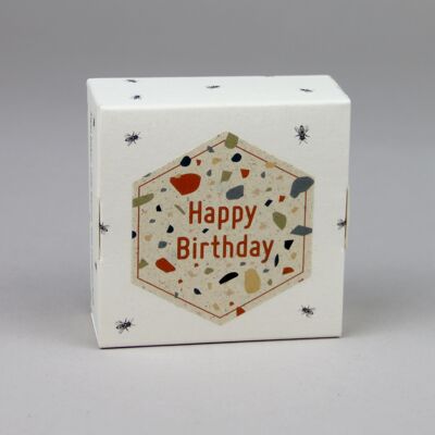 Honey Pralines / Honey Pralines 4-pack Special Edition Happy Birthday Terrazzo