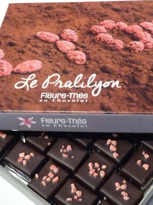Ecrin chocolat spécial ganache à la praline Le Pralilyon®