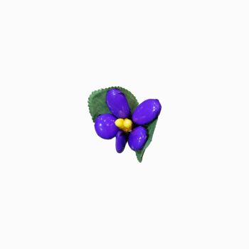 Petite violette 1
