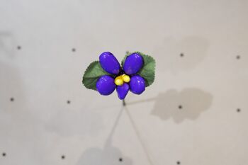 Petite violette 2