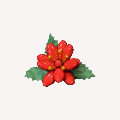 Large Christmas star chocolate dragees