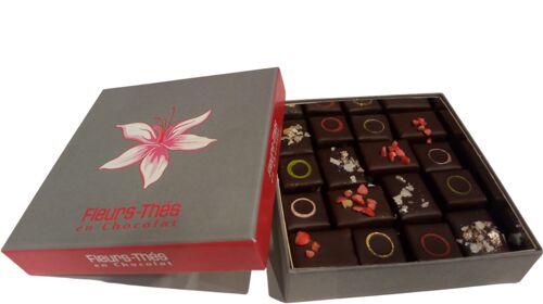 Ecrin apothéose chocolats spéciaux au thé, aux fruits rouges et à la praline