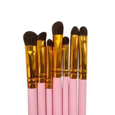 Professional Eye Brush Set