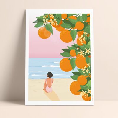 Póster 30x40 - Naranjas