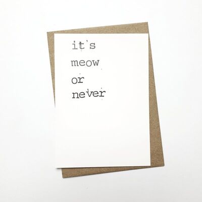 It’s meow or never
